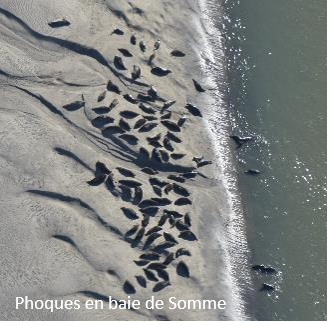 touquet-lehavre-2018-1